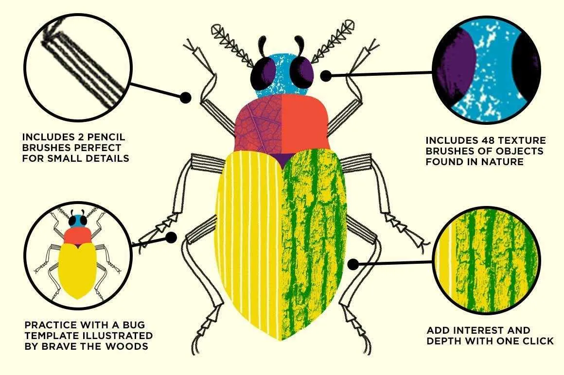 Bug Lab | Nature Texture Brushes for Photoshop