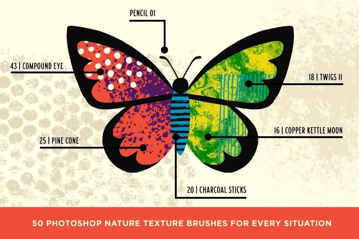 Bug Lab | Nature Texture Brushes for Photoshop
