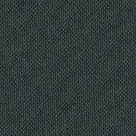 Ebony Shimmer
