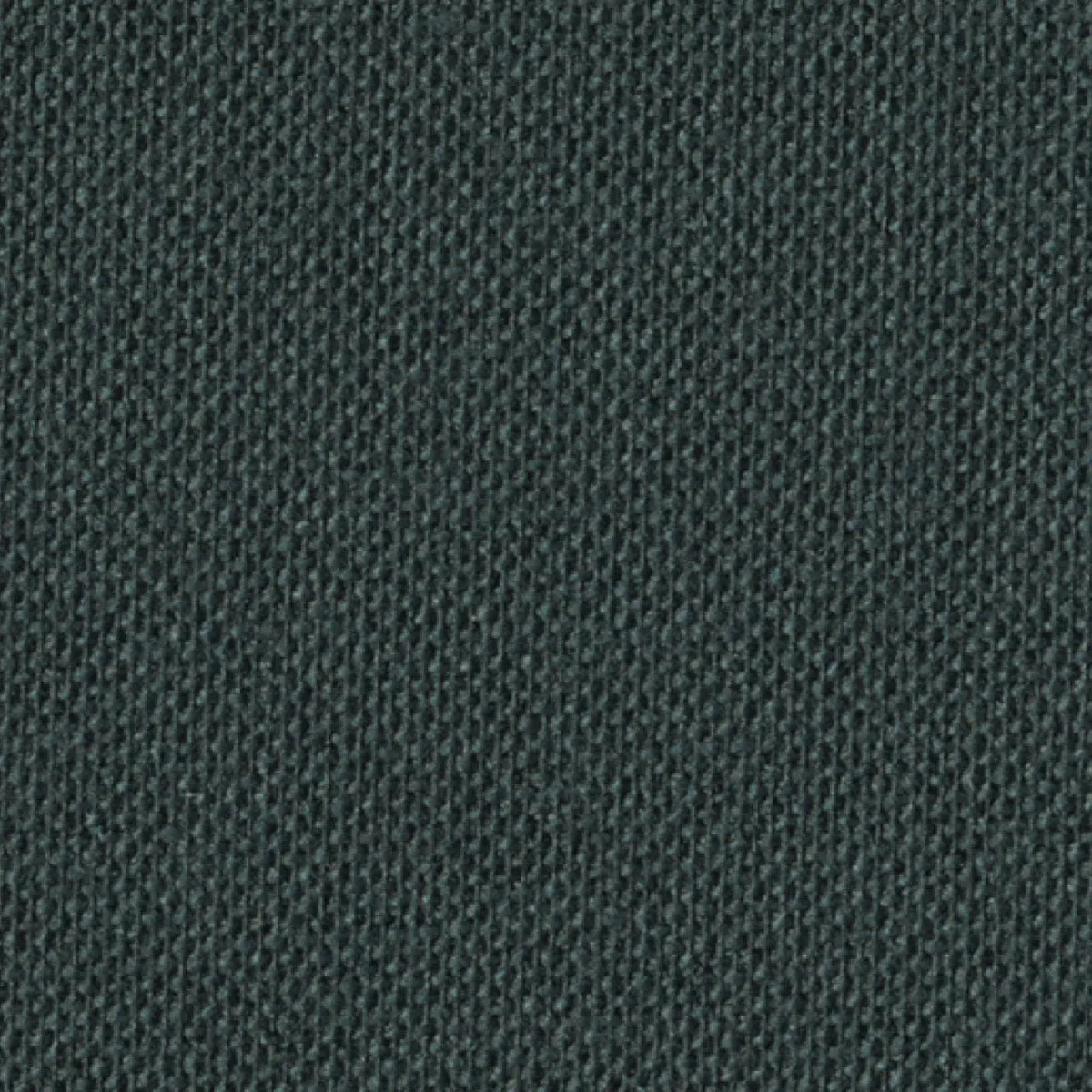Ebony Shimmer