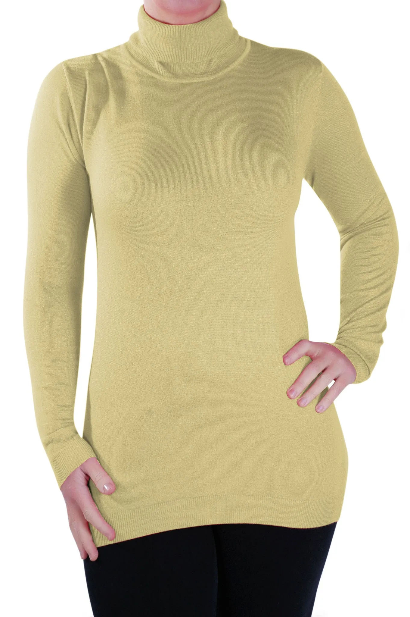 Fine Knit Polo Neck Pullover