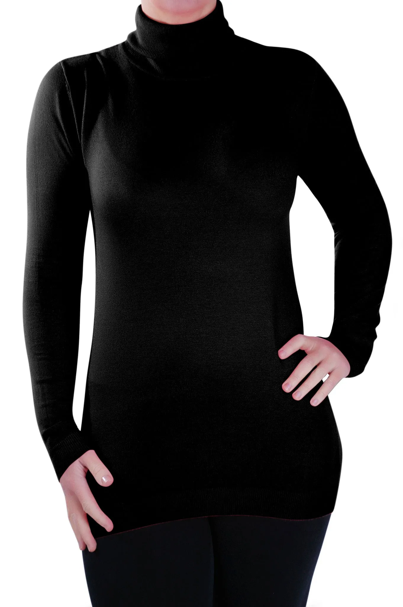 Fine Knit Polo Neck Pullover
