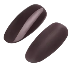 GEL POLISH #065