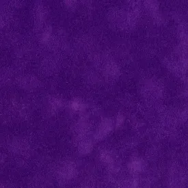 Purple Torch