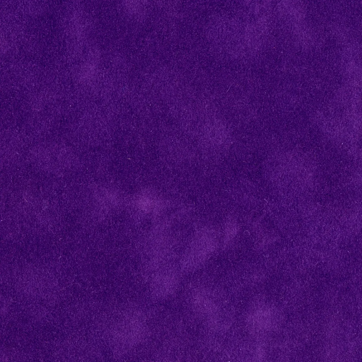 Purple Torch