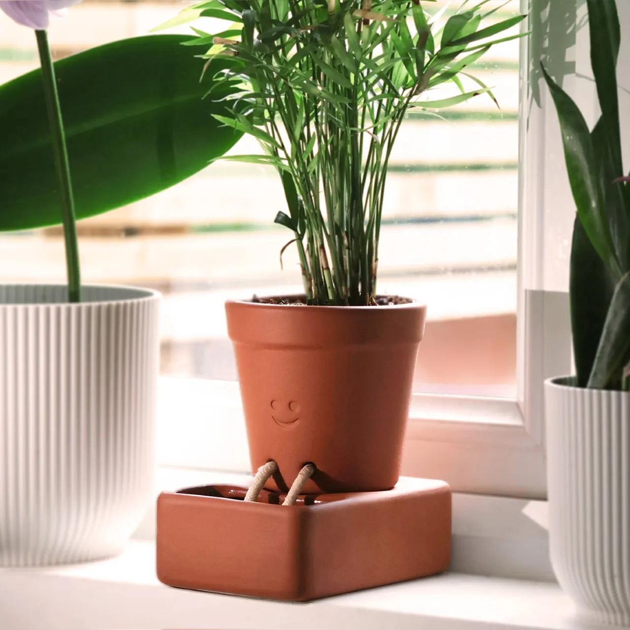 Self Care Planter