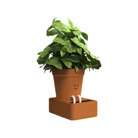 Self Care Planter