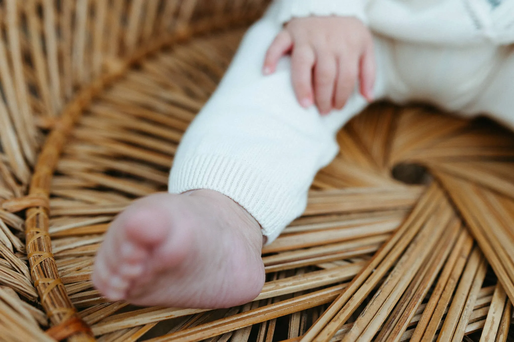 Sweater Knit Organic Baby Legging Pants: Viverano